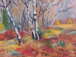Maine Blueberries Â© Janice Donnelly