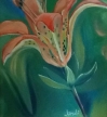 Tiger Lilly 14"x11"