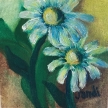 Daisies