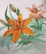 Day Lillies