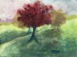 Allenstown Trees