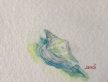 Study â€“Â Shells #2